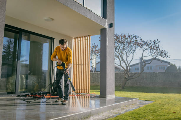 Best Soft Washing for Delicate Surfaces in Cedar Heights, MD